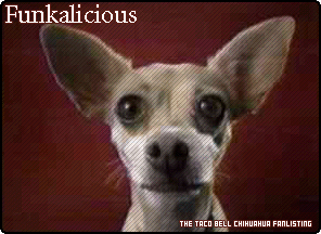 funkalicious.jpg